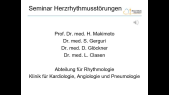 thumbnail of medium HRST Seminar Sommer 2020v3.pptx