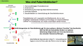 thumbnail of medium TB8 - 03 - Scheller - Reproduktion 1-3