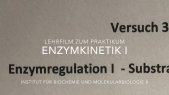 thumbnail of medium Versuch Enzymkinektik I - reversible ADH-Hemmung