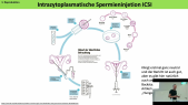 thumbnail of medium TB8 - 03 - Scheller - Reproduktion 4,5 (ohne Präimplantationsdiagnostik)