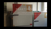 thumbnail of medium Versuch Hormone I - Vorbereitung der Zellen für IGF-GFP-Zellfärbung